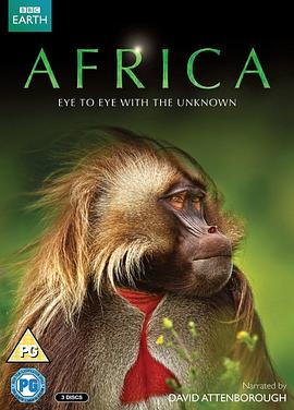 23. 非洲 Africa‎ (2013) 海报