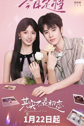 其实不是初恋 海报