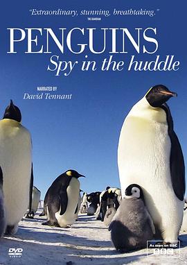 24. 企鹅群里有特务 Penguins: Spy in the Huddle‎ (2013) 海报