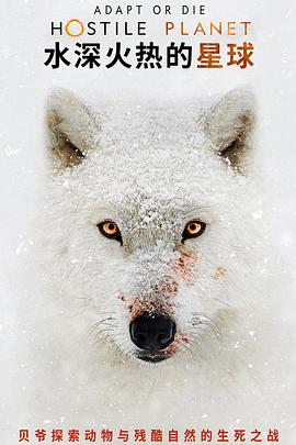水深火热的星球 海报