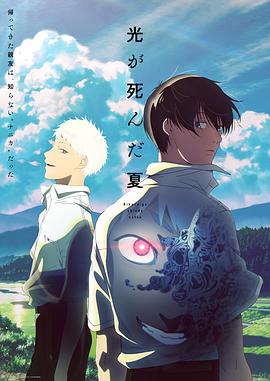 光逝去的夏天 海报