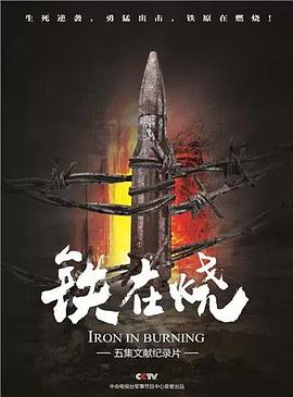 铁在烧 海报