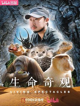 生命奇观 海报
