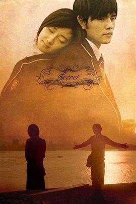 不能说的秘密 海报