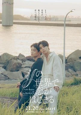 在如果的世界里开始恋爱 海报